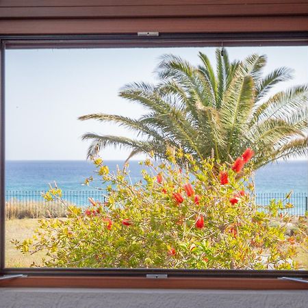 Amatu Villa セロカンポス エクステリア 写真